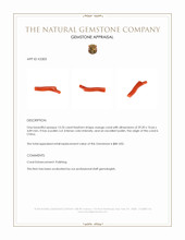 13.35 Ct. Coral from China Appraisal