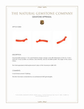 11.35 Ct. Coral from China Appraisal