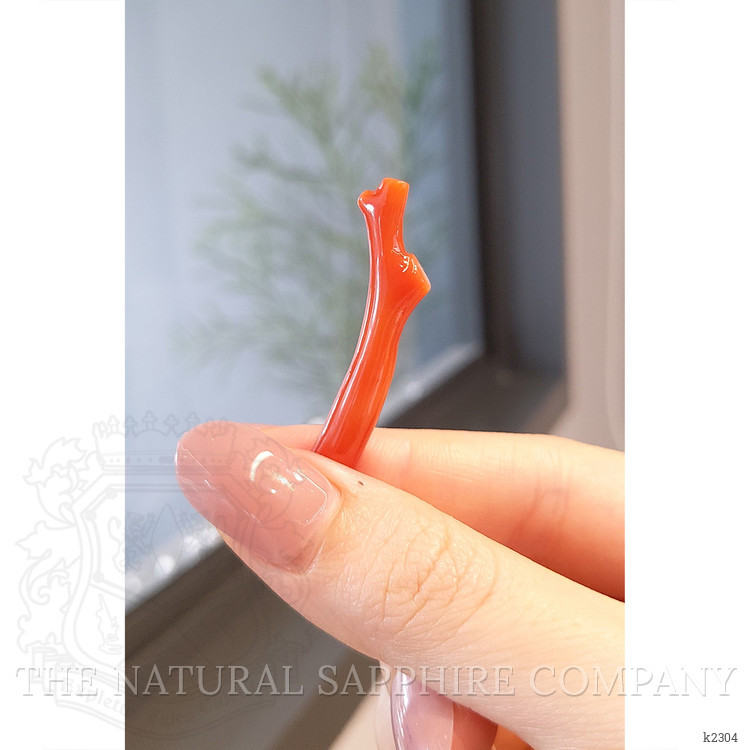 11.35 Ct. Coral from China