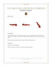 10.55 Ct. Coral from China Appraisal