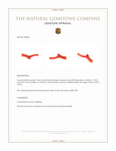 10.60 Ct. Coral from China Appraisal