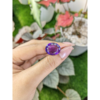12.04 Ct. Amethyst from Ceylon (Sri Lanka) Life Style