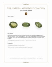 2.54 Ct. Yellowish Green Chrysoberyl from Ceylon (Sri Lanka) Appraisal