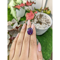 14.57 Ct. Amethyst from Ceylon (Sri Lanka) Life Style