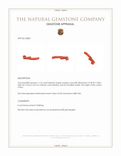 11.55 Ct. Coral from China Appraisal