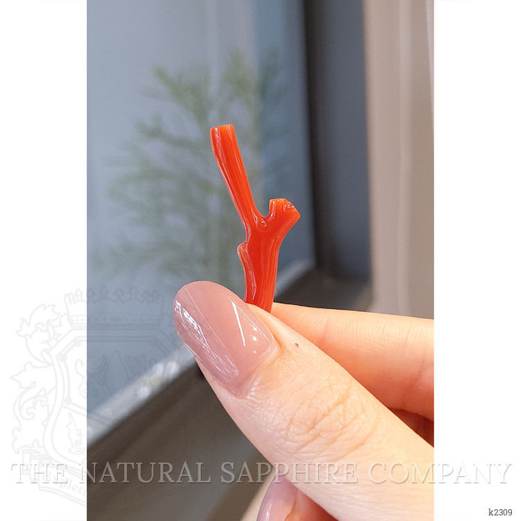 12.40 Ct. Coral from China