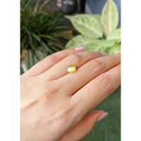 2.53 Ct. Greenish Yellow Chrysoberyl from Ceylon (Sri Lanka) Life Style