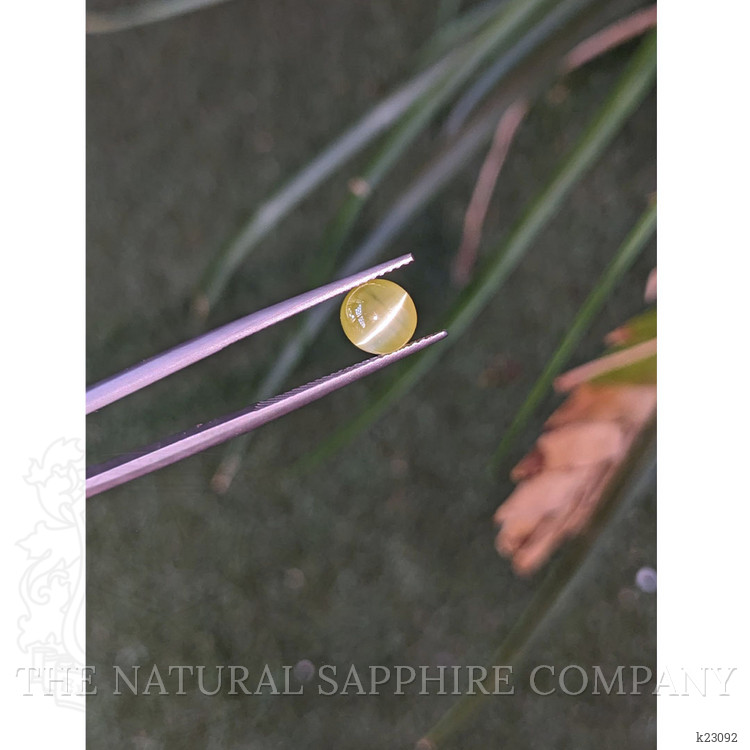 2.53 Ct. Greenish Yellow Chrysoberyl from Ceylon (Sri Lanka)