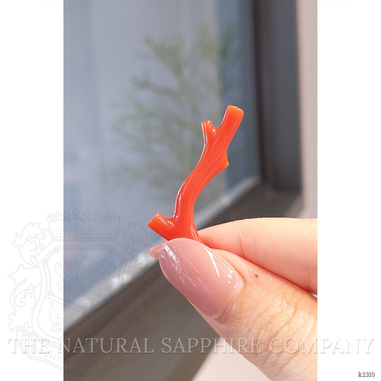 12.65 Ct. Coral from China