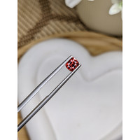 0.89 Ct. Garnet from Ceylon (Sri Lanka) Life Style
