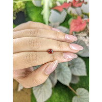 0.89 Ct. Garnet from Ceylon (Sri Lanka) Life Style
