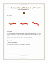 11.30 Ct. Coral from China Appraisal