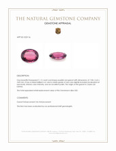 1.12 Ct. Purplish Red Garnet from Ceylon (Sri Lanka) Appraisal
