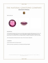 0.94 Ct. Pinkish Red Garnet from Ceylon (Sri Lanka) Appraisal