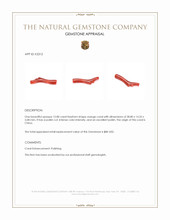 12.80 Ct. Coral from China Appraisal