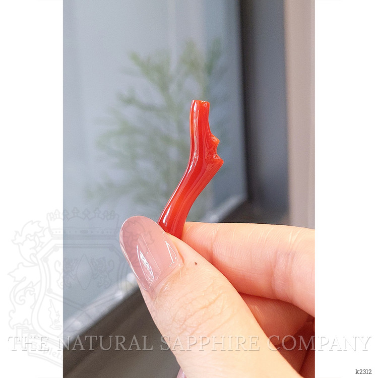 12.80 Ct. Coral from China