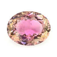 5.57 Ct. Bi Color Tourmaline from Ceylon (Sri Lanka) Video