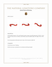 13.95 Ct. Coral from China Appraisal