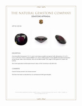 10.13 Ct. Purplish Red Garnet from Ceylon (Sri Lanka) Appraisal