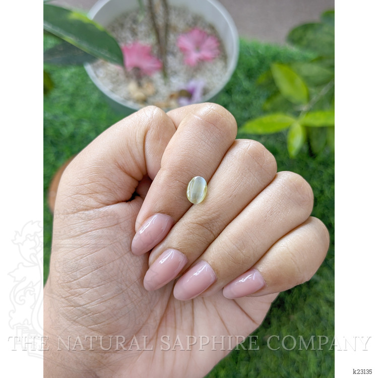 1.46 Ct. Greenish Yellow Cabochon Chrysoberyl from Ceylon (Sri Lanka)
