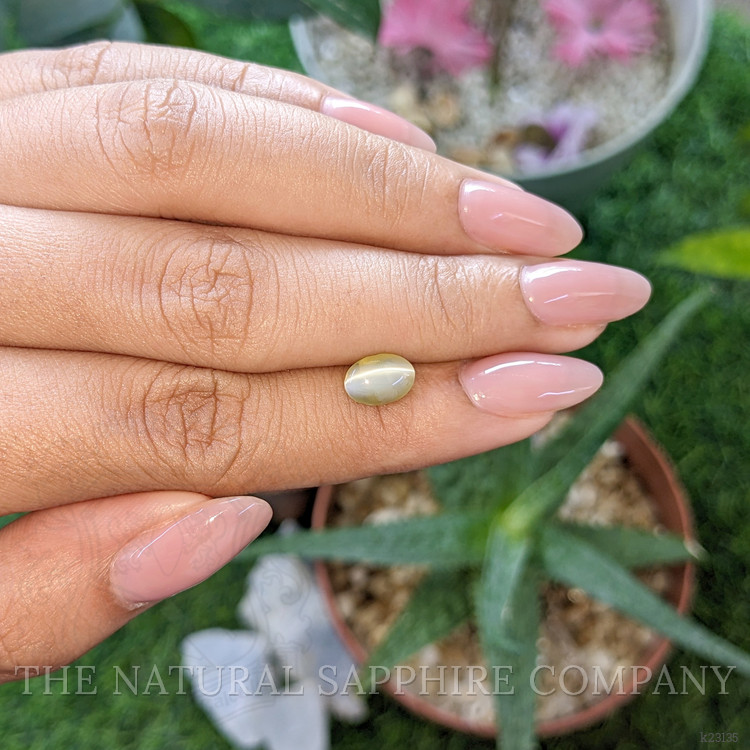 1.46 Ct. Greenish Yellow Cabochon Chrysoberyl from Ceylon (Sri Lanka)