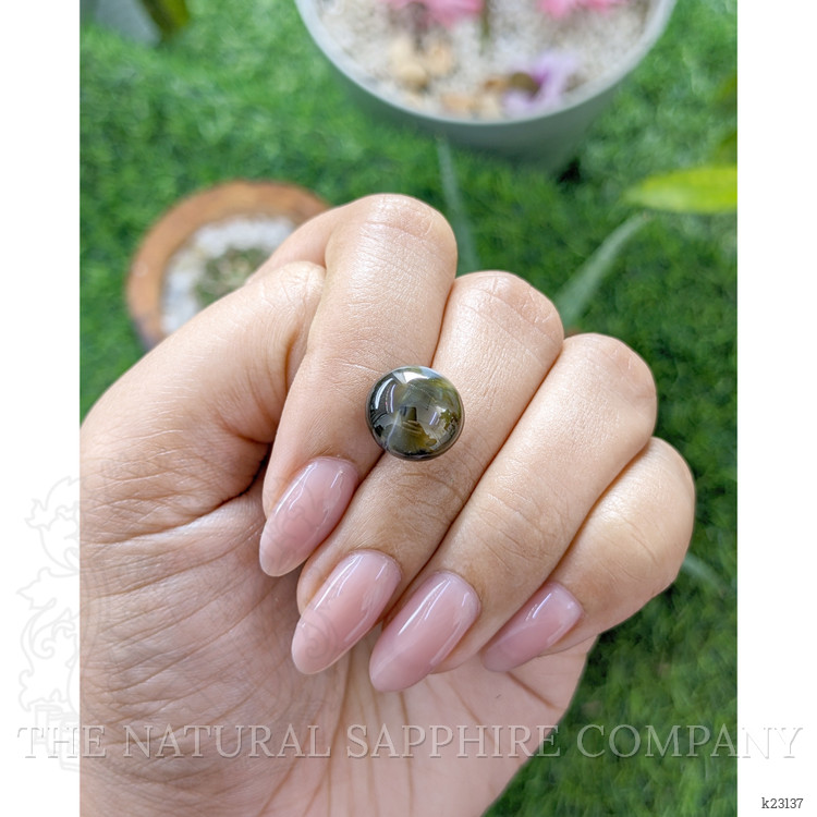 12.67 Ct. Brownish Green Cabochon Chrysoberyl from Ceylon (Sri Lanka)