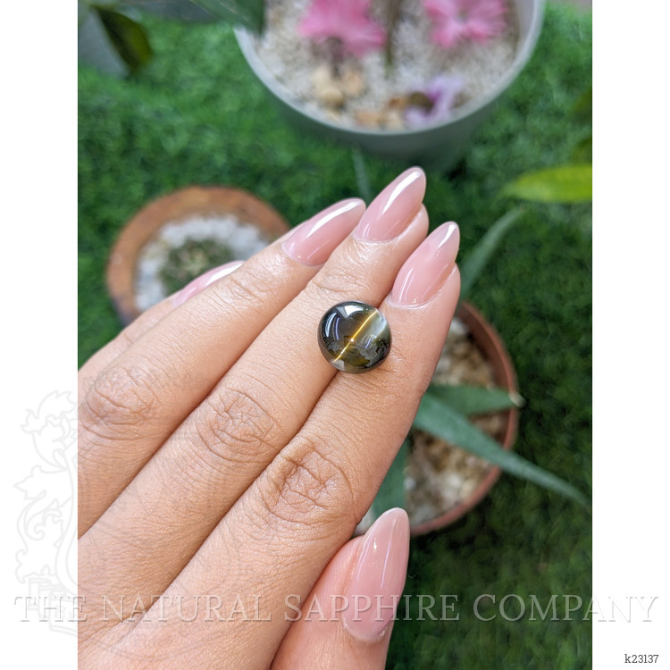 12.67 Ct. Brownish Green Cabochon Chrysoberyl from Ceylon (Sri Lanka)