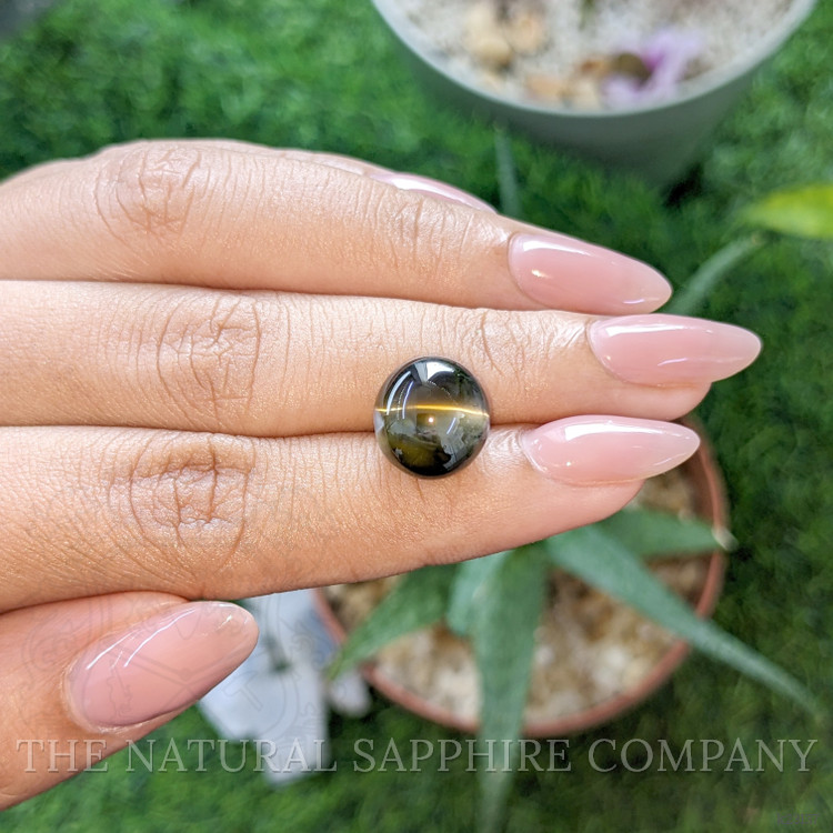 12.67 Ct. Brownish Green Cabochon Chrysoberyl from Ceylon (Sri Lanka)