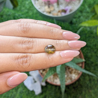 3.10 Ct. Greenish Brown Cabochon Chrysoberyl from Ceylon (Sri Lanka) Life Style