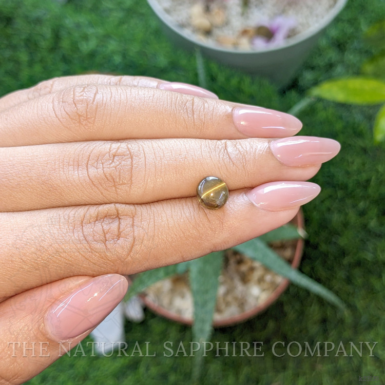 3.05 Ct. Brown Cabochon Chrysoberyl from Ceylon (Sri Lanka)