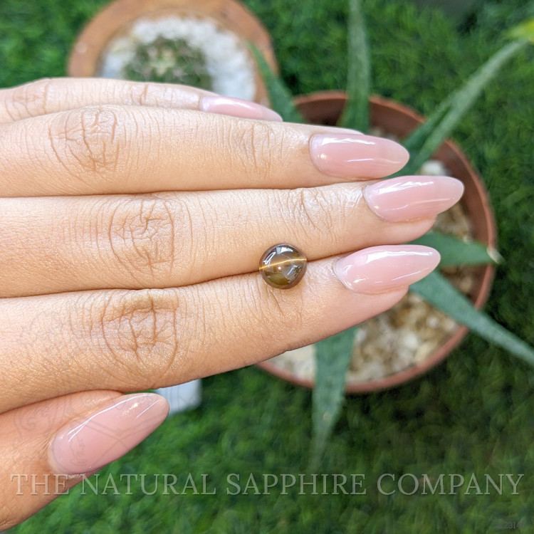 3.03 Ct. Greenish Brown Cabochon Chrysoberyl from Ceylon (Sri Lanka)
