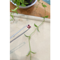 1.28 Ct. Pink Tourmaline from Mozambique Life Style