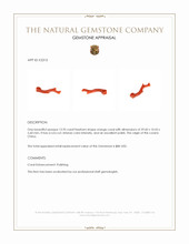 13.95 Ct. Coral from China Appraisal