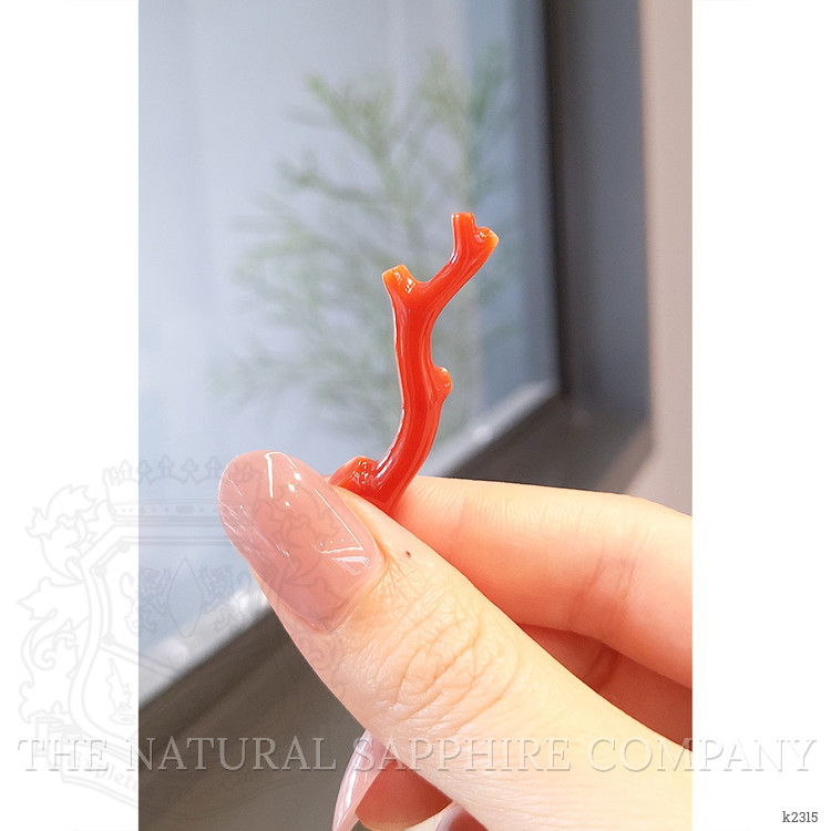 13.95 Ct. Coral from China