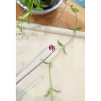 1.37 Ct. Pink Tourmaline from Mozambique Life Style