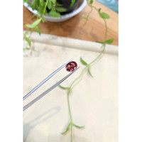 2.72 Ct. Pink Tourmaline from Mozambique Life Style