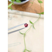 1.02 Ct. Pinkish Red Rubellite Tourmaline from Mozambique Life Style