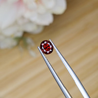 0.99 Ct. Garnet from Ceylon (Sri Lanka) Life Style