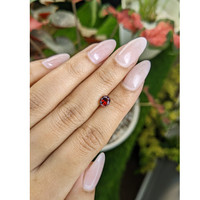 0.99 Ct. Garnet from Ceylon (Sri Lanka) Life Style