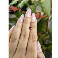 0.99 Ct. Garnet from Ceylon (Sri Lanka) Life Style