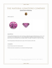 0.79 Ct. Garnet from Ceylon (Sri Lanka) Appraisal