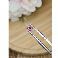 0.60 Ct. Garnet from Ceylon (Sri Lanka) Life Style