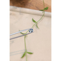 1.10 Ct. Blue Aquamarine from Brazil Life Style