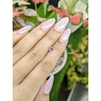 0.58 Ct. Garnet from Ceylon (Sri Lanka) Life Style