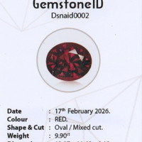 9.92 Ct. Rhodolite Garnet from Ceylon (Sri Lanka) Scan Report