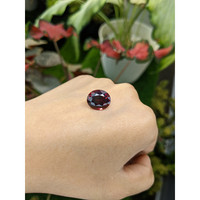 9.92 Ct. Rhodolite Garnet from Ceylon (Sri Lanka) Life Style
