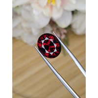9.92 Ct. Rhodolite Garnet from Ceylon (Sri Lanka) Life Style