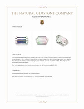 1.33 Ct. Bi Color Tourmaline from Mozambique Appraisal