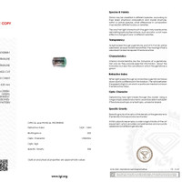 1.33 Ct. Bi Color Tourmaline from Mozambique Scan Report
