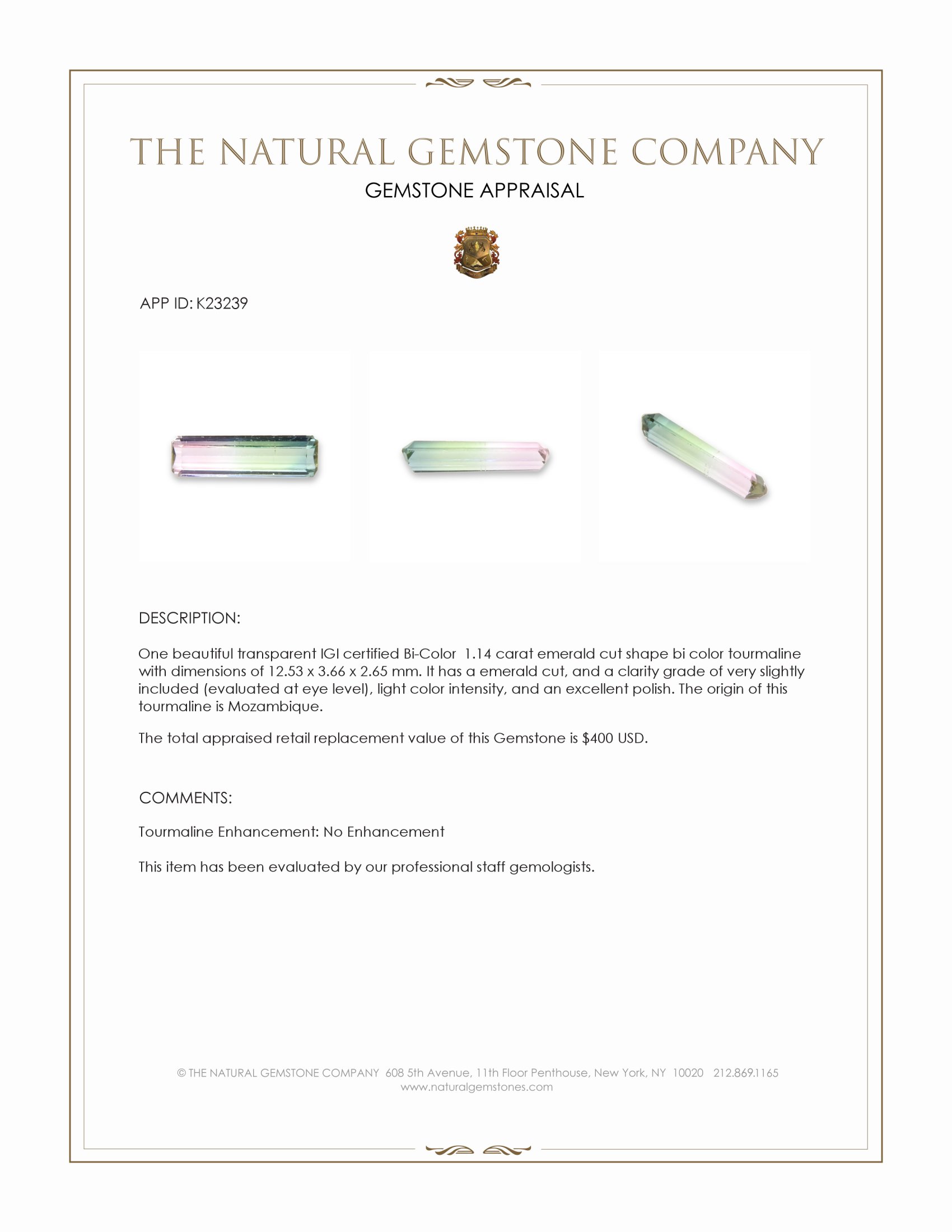 1.14 Ct. Bi Color Tourmaline from Mozambique